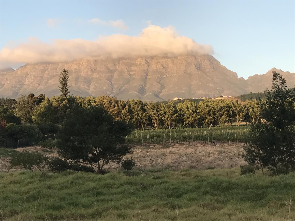 At Home In Mostertsdrift Stellenbosch Exteriör bild