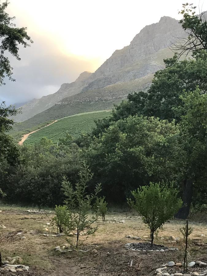 At Home In Mostertsdrift Stellenbosch Exteriör bild
